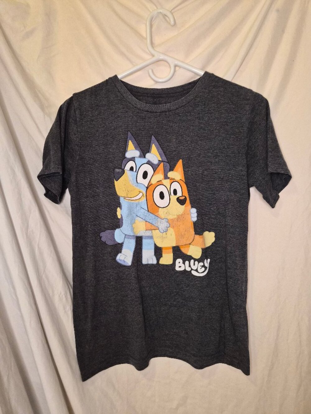 Disney Bluey and Bingo Grey T Shirt Size Youth XL